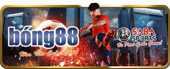 Phần câu hỏi thường gặp của 8888bet nhà cái